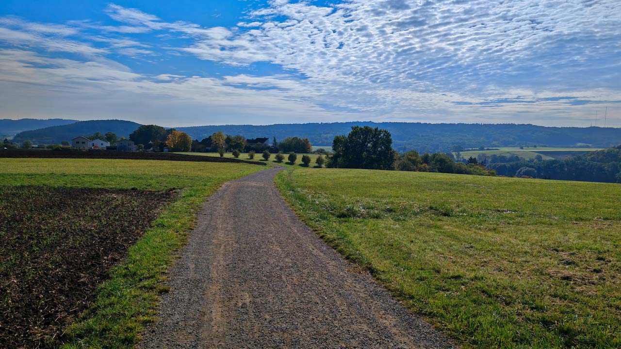 Sehr müder Lauf am Donnerstag