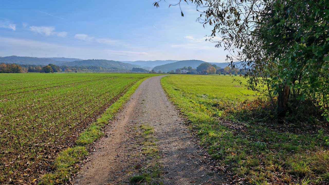 Sonniger Mittagslauf zu den 2.300 km im Jahr 2026